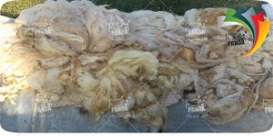 تولیدات تشک یک نفره