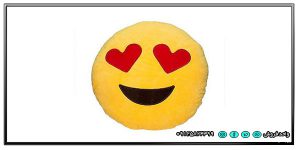 خرید اینترنتی بالش نمدی