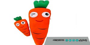 قیمت فروش انواع باش کودک