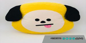 خرید انواع بالش فانتزی جدید