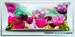 خرید و قیمت روبالشی فانتزی و سه بعدی